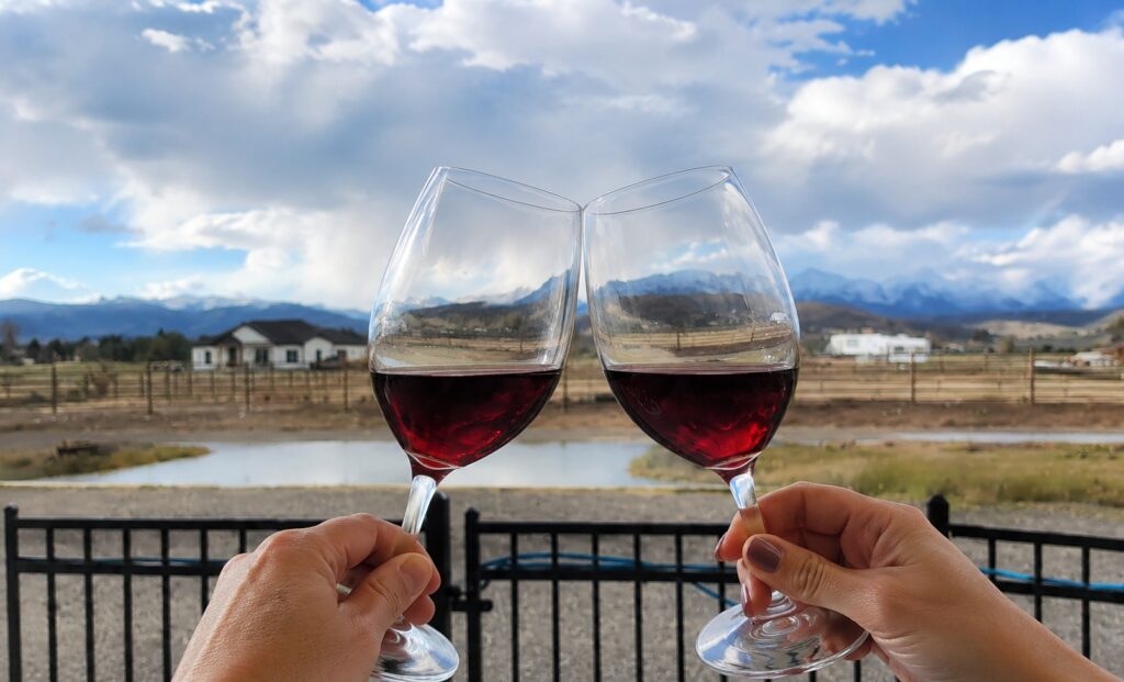 Wine Tasting
